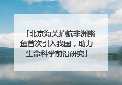 北京海关护航非洲鳉鱼首次引入我国，助力生命科学前沿研究