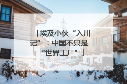 埃及小伙“入川记”：中国不只是“世界工厂”