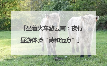 坐着火车游云南：夜行昼游体验“诗和远方”