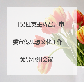 吴桂英主持召开市委宣传思想文化工作领导小组会议