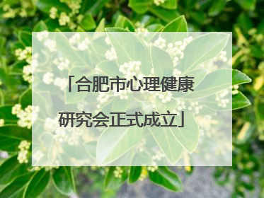 合肥市心理健康研究会正式成立