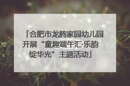 合肥市龙腾家园幼儿园开展“童趣端午汇·乐韵绽华光”主题活动