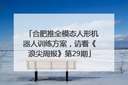 合肥推全模态人形机器人训练方案，请看《浪尖周报》第29期