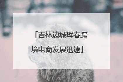 吉林边城珲春跨境电商发展迅速