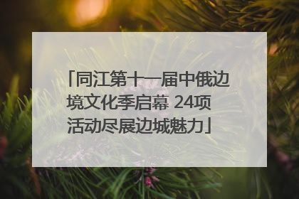 同江第十一届中俄边境文化季启幕 24项活动尽展边城魅力
