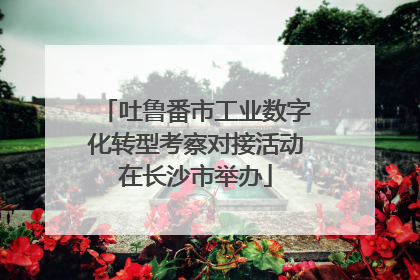 吐鲁番市工业数字化转型考察对接活动在长沙市举办