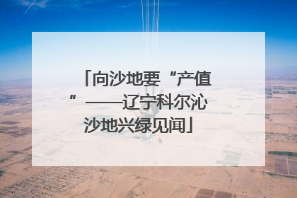 向沙地要“产值”——辽宁科尔沁沙地兴绿见闻