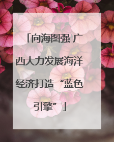 向海图强 广西大力发展海洋经济打造“蓝色引擎”