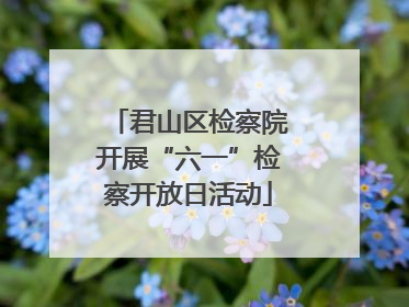 君山区检察院开展“六一”检察开放日活动