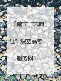 咸宁“志愿红”织密高考服务网