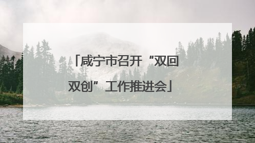 咸宁市召开“双回双创”工作推进会