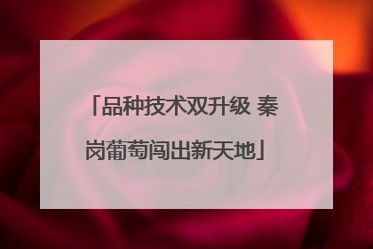 品种技术双升级 秦岗葡萄闯出新天地