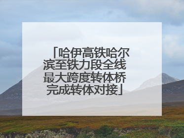 哈伊高铁哈尔滨至铁力段全线最大跨度转体桥完成转体对接