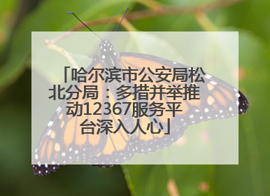 哈尔滨市公安局松北分局：多措并举推动12367服务平台深入人心