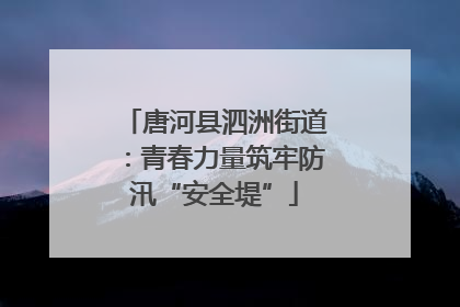 唐河县泗洲街道：青春力量筑牢防汛“安全堤”