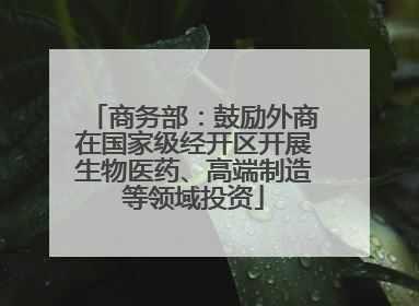 商务部：鼓励外商在国家级经开区开展生物医药、高端制造等领域投资