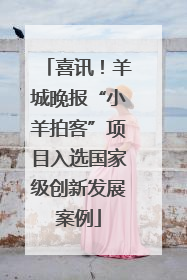 喜讯！羊城晚报“小羊拍客”项目入选国家级创新发展案例