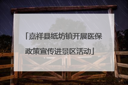 嘉祥县纸坊镇开展医保政策宣传进景区活动