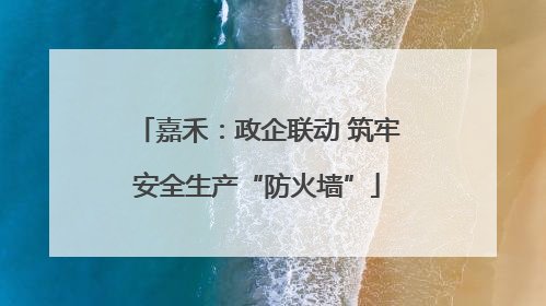 嘉禾：政企联动 筑牢安全生产“防火墙”