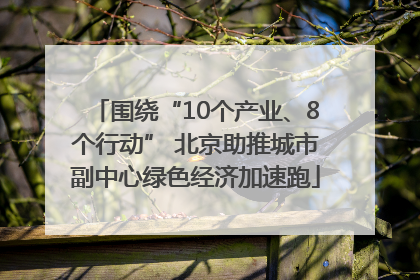 围绕“10个产业、8个行动” 北京助推城市副中心绿色经济加速跑