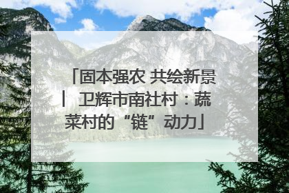 固本强农 共绘新景 ︳卫辉市南社村：蔬菜村的“链”动力