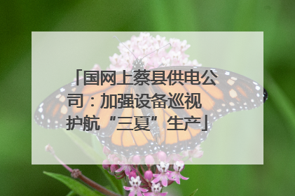 国网上蔡县供电公司：加强设备巡视 护航“三夏”生产