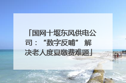国网十堰东风供电公司：“数字反哺” 解决老人度夏缴费难题