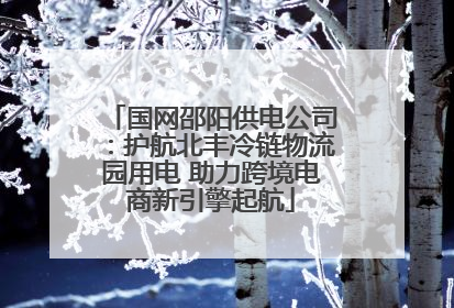 国网邵阳供电公司：护航北丰冷链物流园用电 助力跨境电商新引擎起航