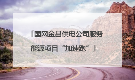 国网金昌供电公司服务能源项目“加速跑”