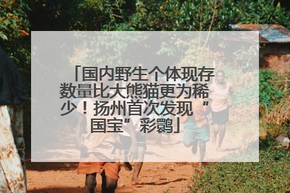 国内野生个体现存数量比大熊猫更为稀少！扬州首次发现“国宝”彩鹮