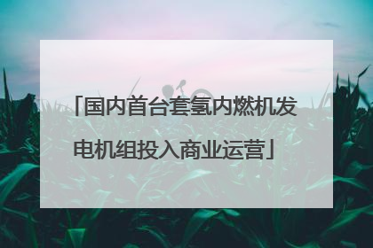 国内首台套氢内燃机发电机组投入商业运营