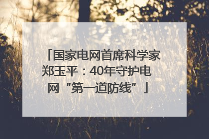 国家电网首席科学家郑玉平：40年守护电网“第一道防线”