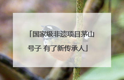 国家级非遗项目茅山号子 有了新传承人