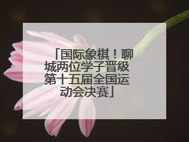 国际象棋！聊城两位学子晋级第十五届全国运动会决赛