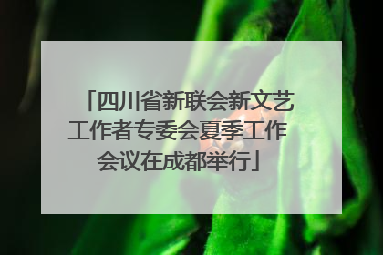 四川省新联会新文艺工作者专委会夏季工作会议在成都举行