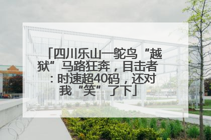 四川乐山一鸵鸟“越狱”马路狂奔，目击者：时速超40码，还对我“笑”了下