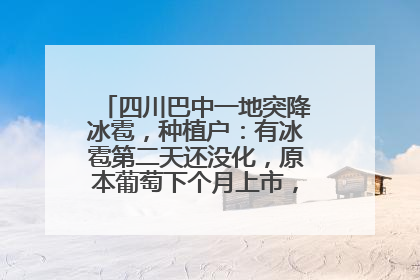 四川巴中一地突降冰雹，种植户：有冰雹第二天还没化，原本葡萄下个月上市，现在全被打落