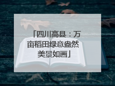 四川高县：万亩稻田绿意盎然 美景如画