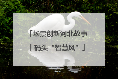 场景创新河北故事丨码头“智慧风”