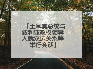 土耳其总统与叙利亚政权领导人就双边关系等举行会谈