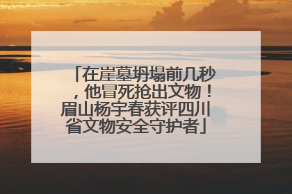 在崖墓坍塌前几秒，他冒死抢出文物！眉山杨宇春获评四川省文物安全守护者