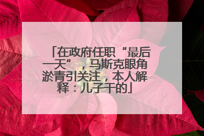 在政府任职“最后一天”，马斯克眼角淤青引关注，本人解释：儿子干的