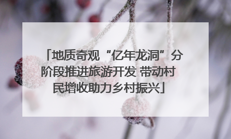 地质奇观“亿年龙洞”分阶段推进旅游开发 带动村民增收助力乡村振兴