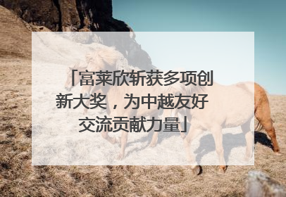 富莱欣斩获多项创新大奖，为中越友好交流贡献力量