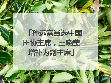 孙远富当选中国田协主席，王晓莹增补为副主席