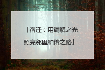 宿迁：用调解之光照亮邻里和谐之路