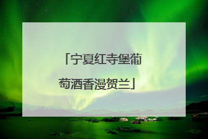 宁夏红寺堡葡萄酒香漫贺兰