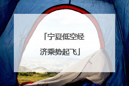 宁夏低空经济乘势起飞