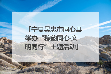 宁夏吴忠市同心县举办“粽韵同心·文明同行”主题活动
