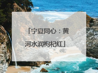 宁夏同心：黄河水润枸杞红